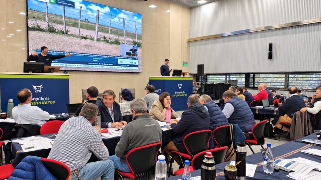 BNA y ROSGAN preparan un Gran Remate Aniversario con 15.000 cabezas