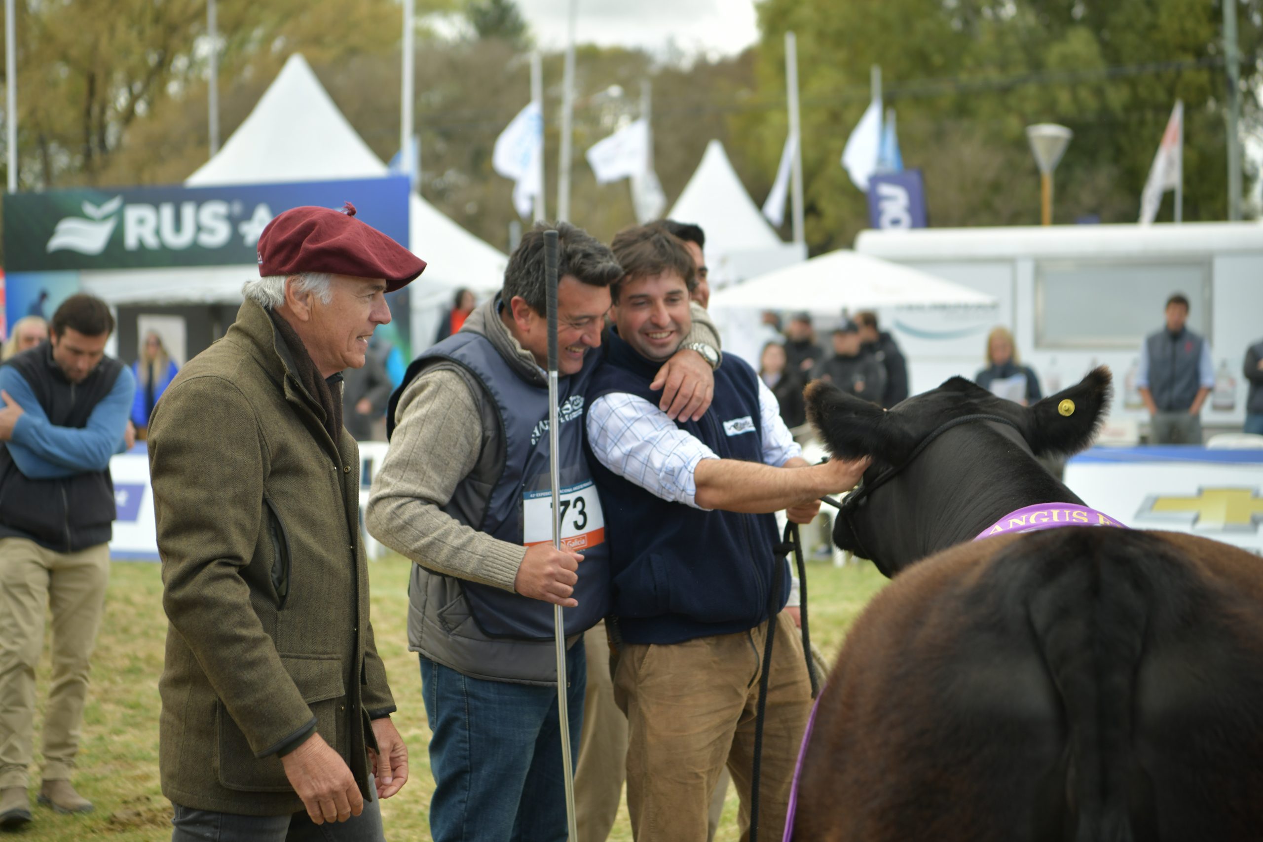 Destacan el alto nivel de hembras en la Nacional Angus de Primavera