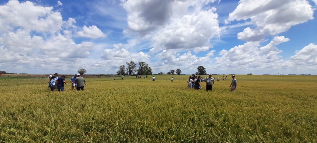 Día Mundial del Suelo: “Suelos sanos para ciudades saludables”