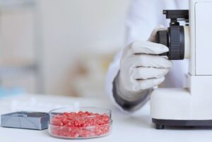 Lograron reducir la presencia de Escherichia coli en carne vacuna picada con irradiación gamma