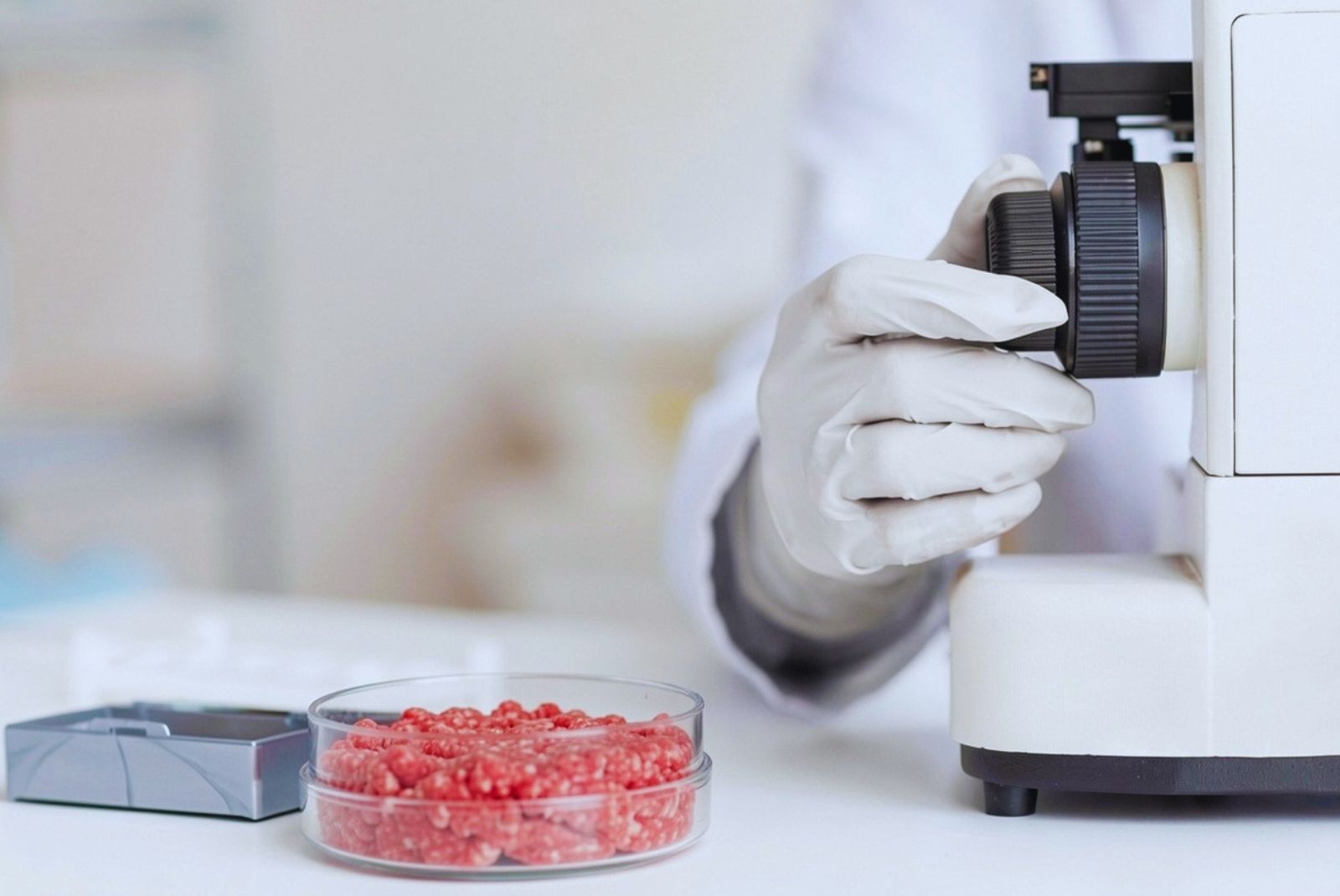 Lograron reducir la presencia de Escherichia coli en carne vacuna picada con irradiación gamma
