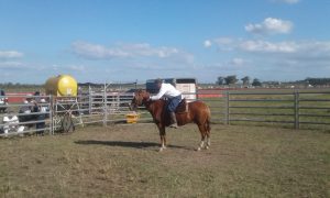 14/03 –  DOMA INTELIGENTE, LA IMPORTANCIA DE REFORZAR EL VÍNCULO ENTRE CABALLO Y DOMADOR