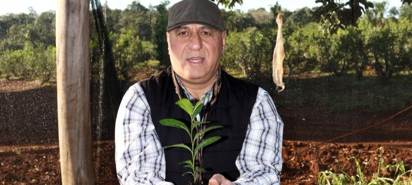 Del corazón de Siria al alma de la yerba mate misionera