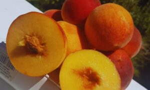 Durazneros con identidad local: Tehuelche, Chamamé y Rosalinda