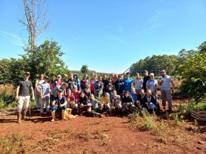 Plantan árboles nativos en Misiones