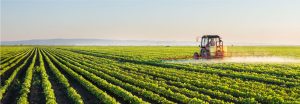 ENERGÍA PARA MOVER AL CAMPO