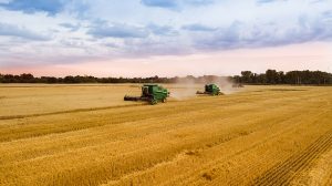 19/05 – El campo tiene que mostrar su belleza y lograr una visión estratégica