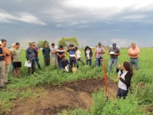 El secreto de la agricultura sostenible: ensayos a largo plazo