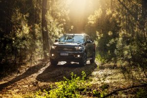 07/03 – LA RAZA FUERTE DE FORD SE LUCIRÁ EN EXPOAGRO