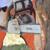 08/03 – STIHL REALIZARÁ LA PRIMERA DEMOSTRACIÓN DE APROVECHAMIENTO DE MADERA PARA RECURSOS EFICIENTES