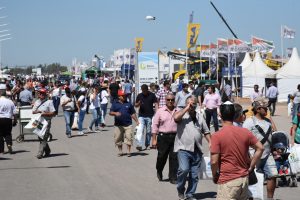 26/12 – CON EXPECTATIVAS SE ABRE LA PUERTA AL AÑO PRODUCTIVO  