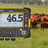 31/07 – El uso de datos e información para tomar las mejores decisiones en ganadería