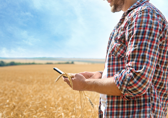 Cuenta regresiva para que El Campo salga de Compras