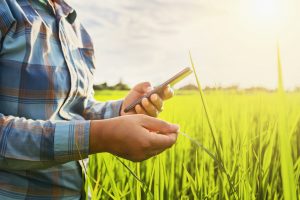 01/03-Banco Galicia continúa innovando productos para el agro