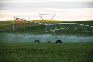 10/08 – Sistema de riego: el avance tecnológico que el campo está incorporando