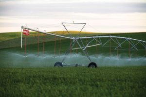 10/08 – Sistema de riego: el avance tecnológico que el campo está incorporando