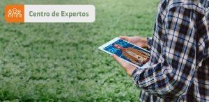 15/08 – Más de 40 técnicos atenderán consultas en el Centro de Expertos online