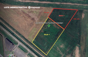 Aapresid sorprenderá con un plot demostrativo en Expoagro