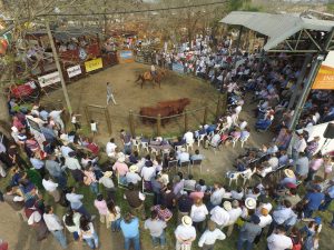 18/08-COLOMBO: “FUE UN REMATE ÁGIL, EN UN CONTEXTO DE MUCHA INCERTIDUMBRE”