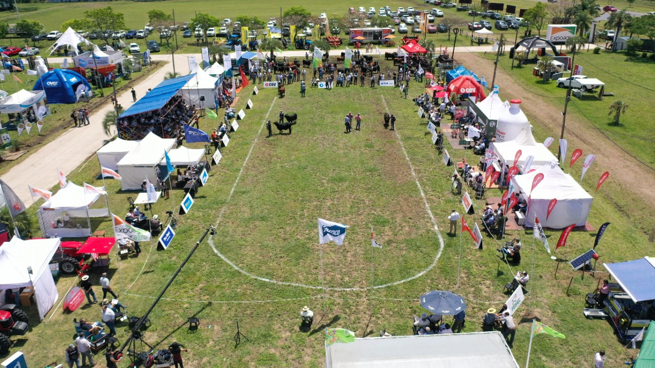 La ganadería tuvo su gran evento anual de la mano de Expoagro