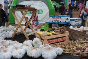 Celebrando la esencia culinaria y cultural de una tradición centenaria