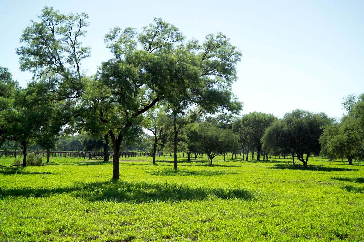 Vanguardia genética en el sector agroganadero