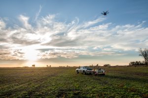 La actividad agropecuaria se sostiene en niveles récord