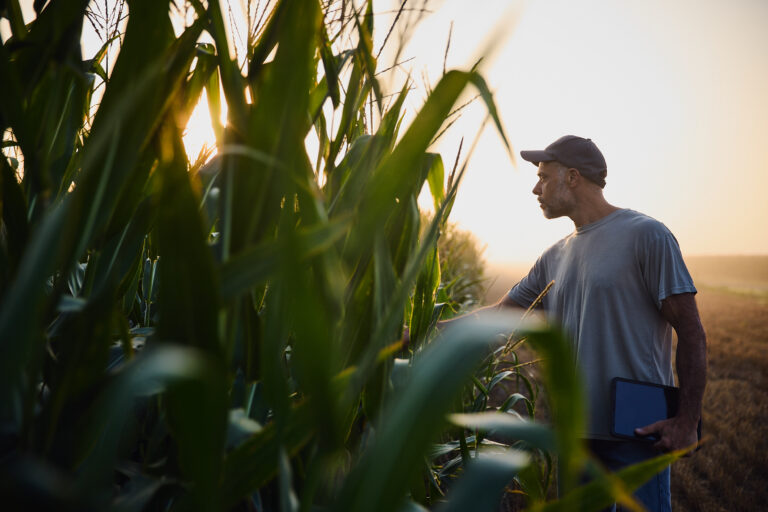 Bayer en Aapresid 2026: innovación para los desafíos productivos de hoy y del futuro - Expoagro - Edición YPF Agro