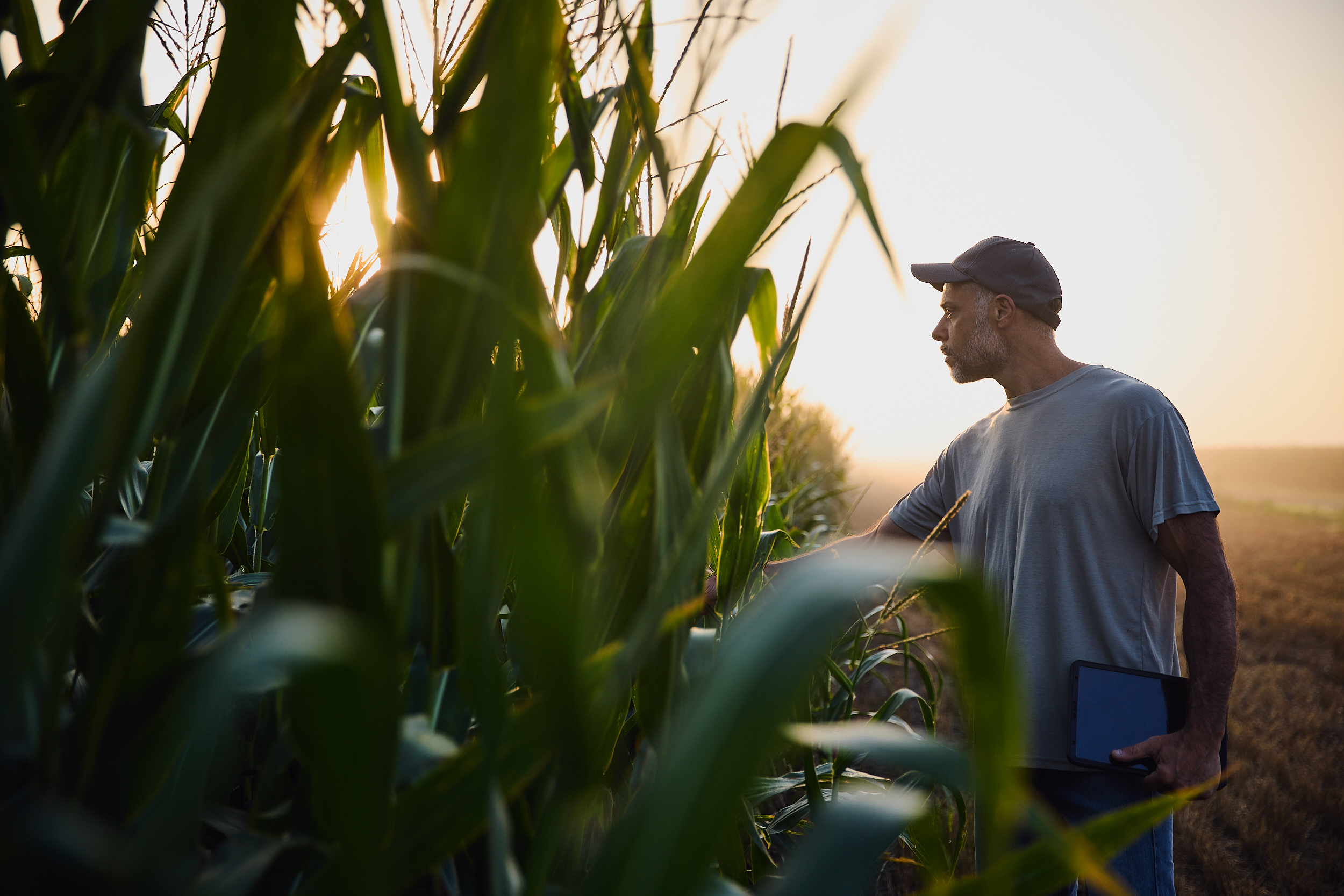 Bayer en Aapresid 2026: innovación para los desafíos productivos de hoy y del futuro