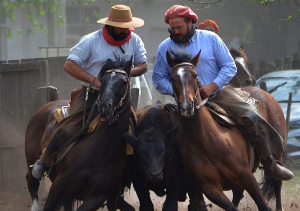 Luciano Trangoni, una mirada experta que marca la diferencia en los Caballos Criollos