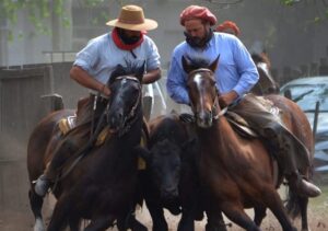 Luciano Trangoni, una mirada experta que marca la diferencia en los Caballos Criollos