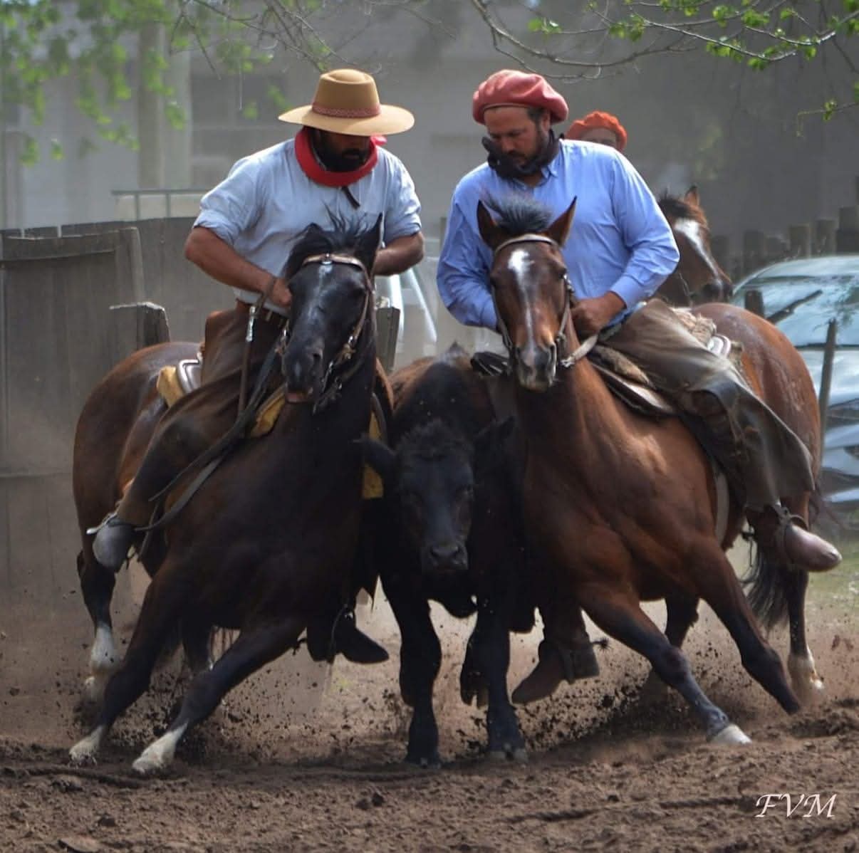 Luciano Trangoni, una mirada experta que marca la diferencia en los Caballos Criollos