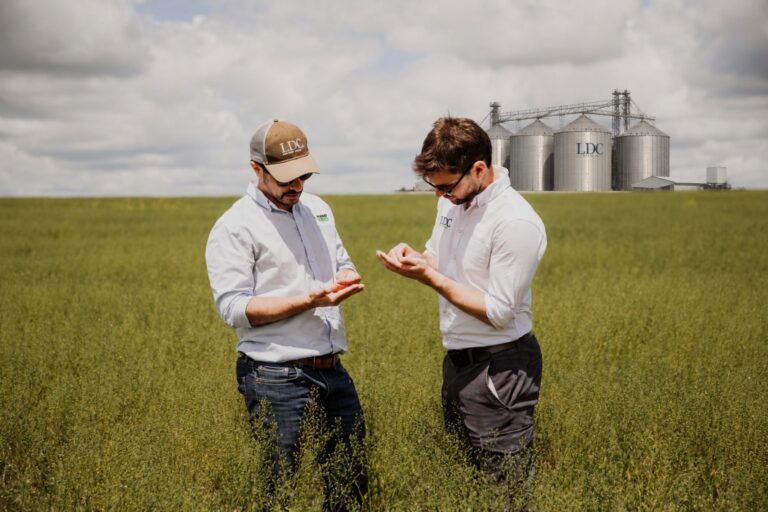 LDC invita a recorrer "su mundo": de la originación, a los mercados globales - Expoagro - Edición YPF Agro