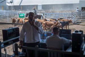 AFA amplía su presencia en la actividad ganadera