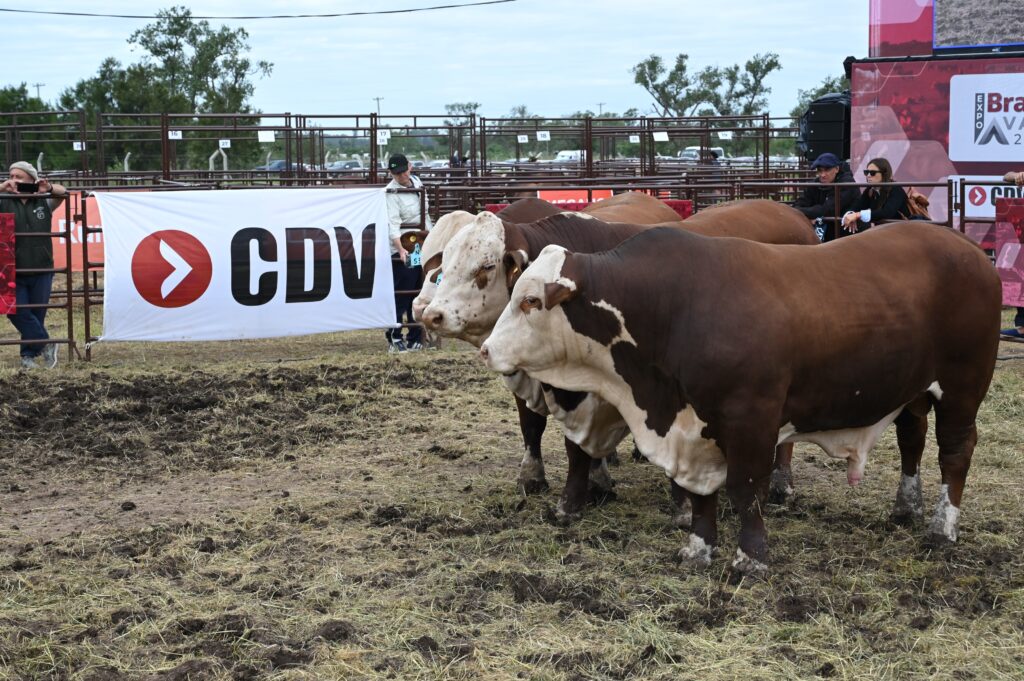 CDV vuelve a Expoagro para potenciar la sanidad y la producción animal