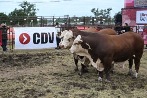 CDV vuelve a Expoagro para potenciar la sanidad y la producción animal