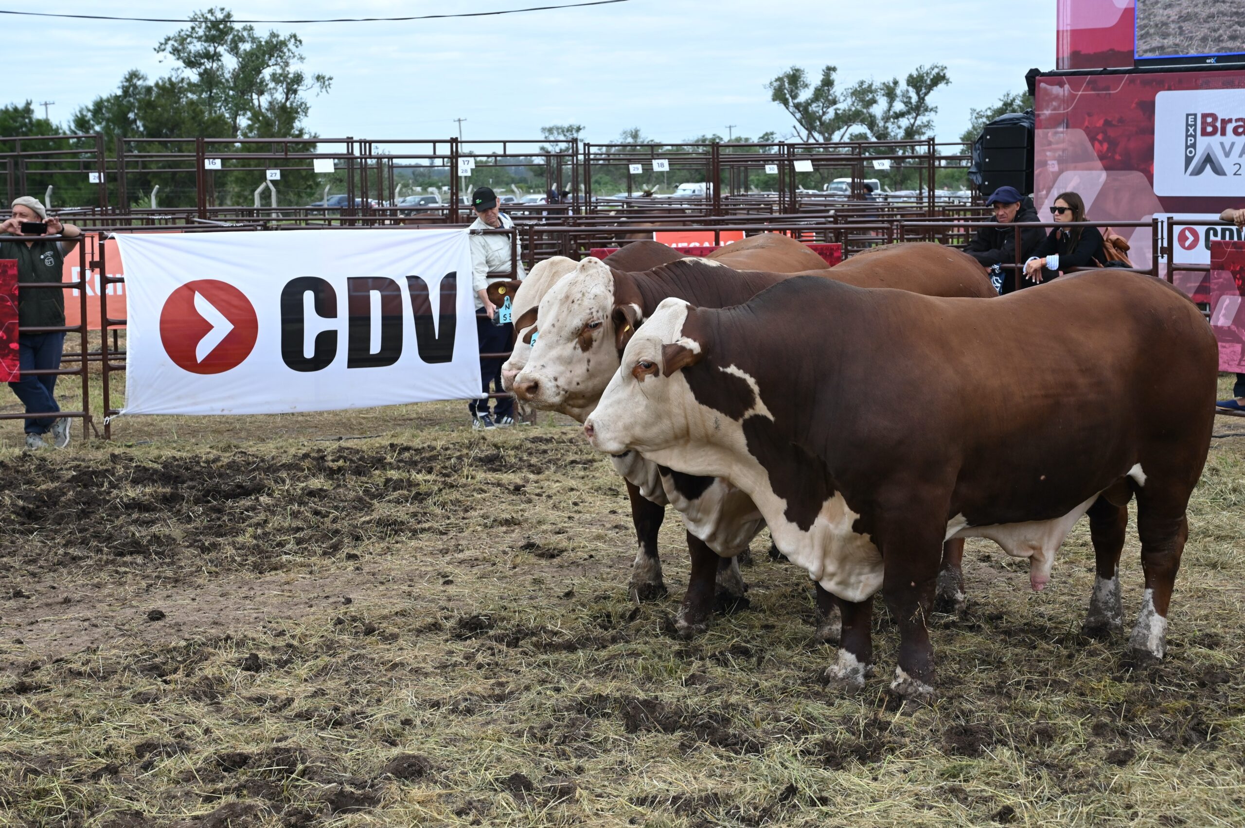 CDV vuelve a Expoagro para potenciar la sanidad y la producción animal