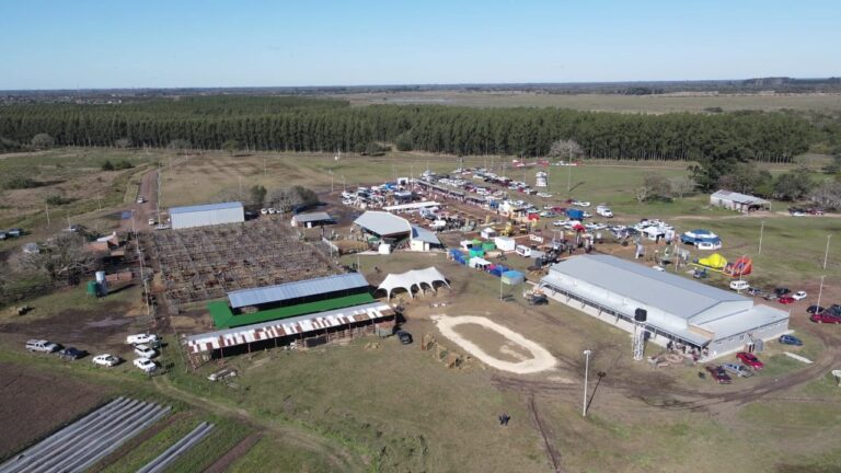 La Sociedad Rural del Chaco vuelve a ser la vidriera ganadera nacional de la mano de Braford