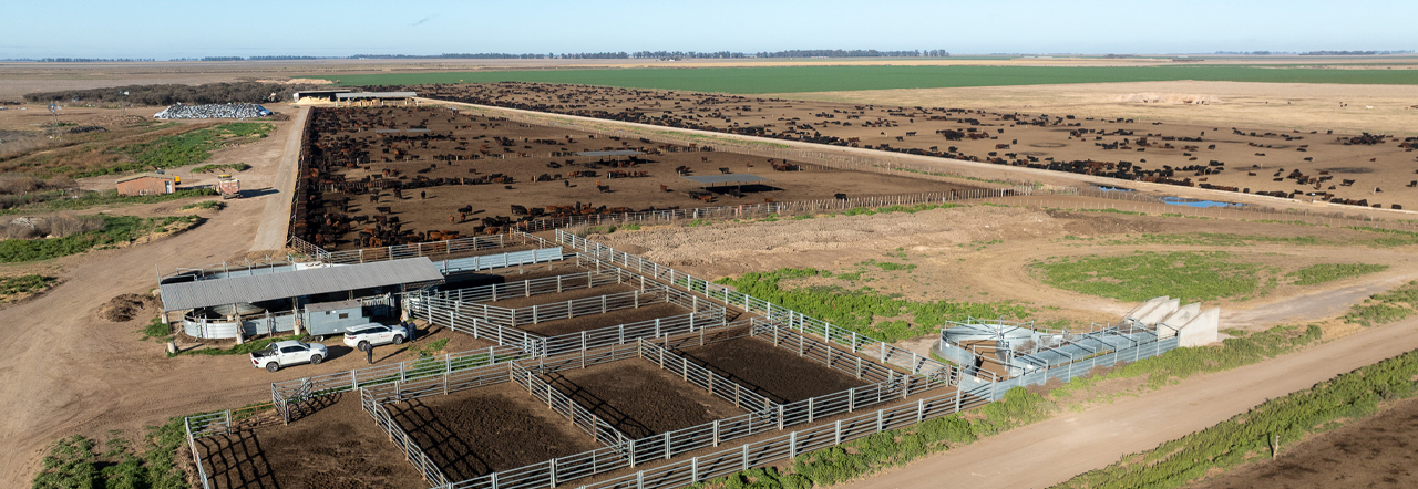 Equipamiento de vanguardia: Farmquip se prepara para apoyar a la ganadería