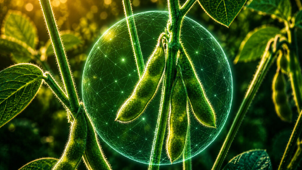 El conocimiento detrás de los bioestimulantes: la propuesta de Timac Agro para una agricultura más eficiente
