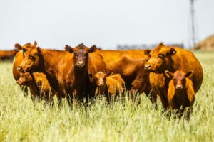 RUS Agro fortalece su vínculo con los productores