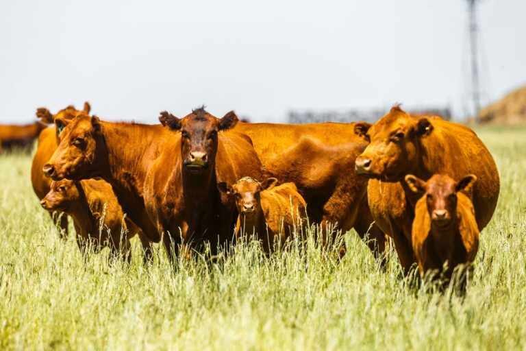 RUS Agro fortalece su vínculo con los productores