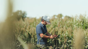 Un breeder al frente: ZINMA presenta sus avances en genética y la financiación para productores