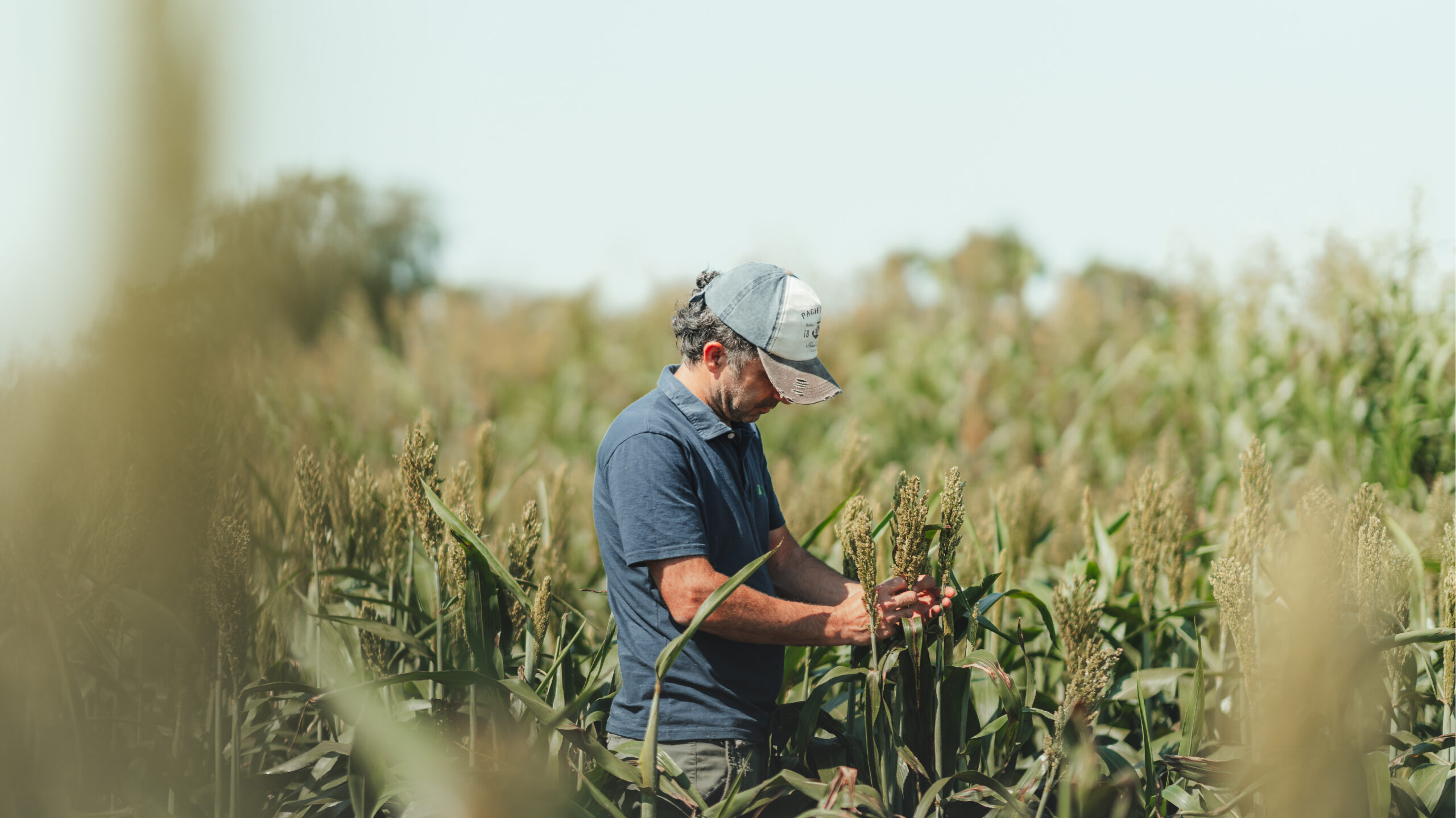 Un breeder al frente: ZINMA presenta sus avances en genética y la financiación para productores