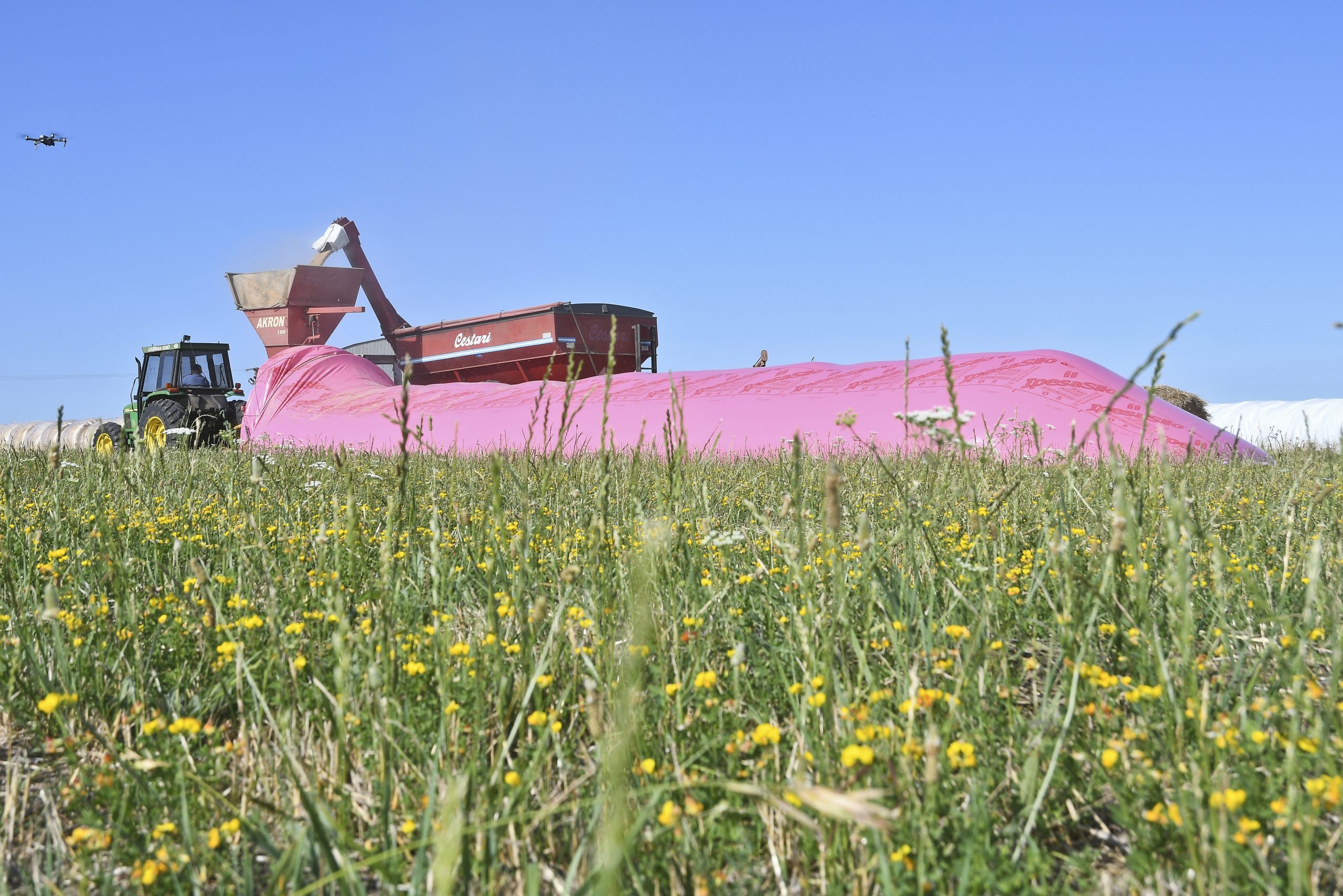 El agro argentino mostrará su aporte en la lucha contra el cáncer