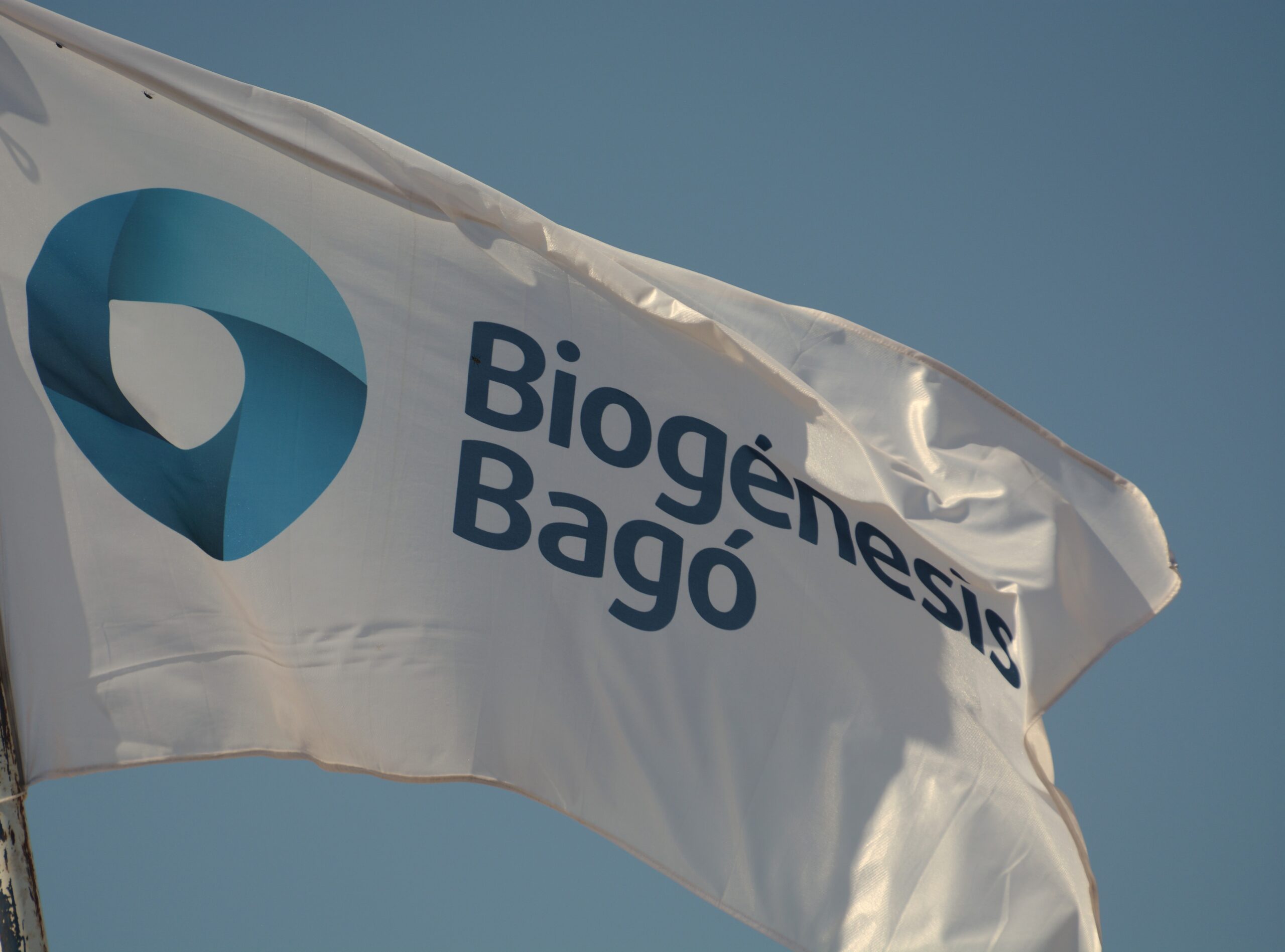 Biogénesis Bagó llevará innovación, sanidad y bienestar animal a la Semana Angus de Primavera