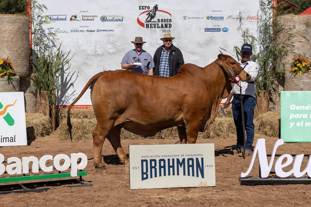 De crecer con la raza Brahman a jurar en la pista más exigente: la historia de Helmut Klassen en Las Nacionales 2026