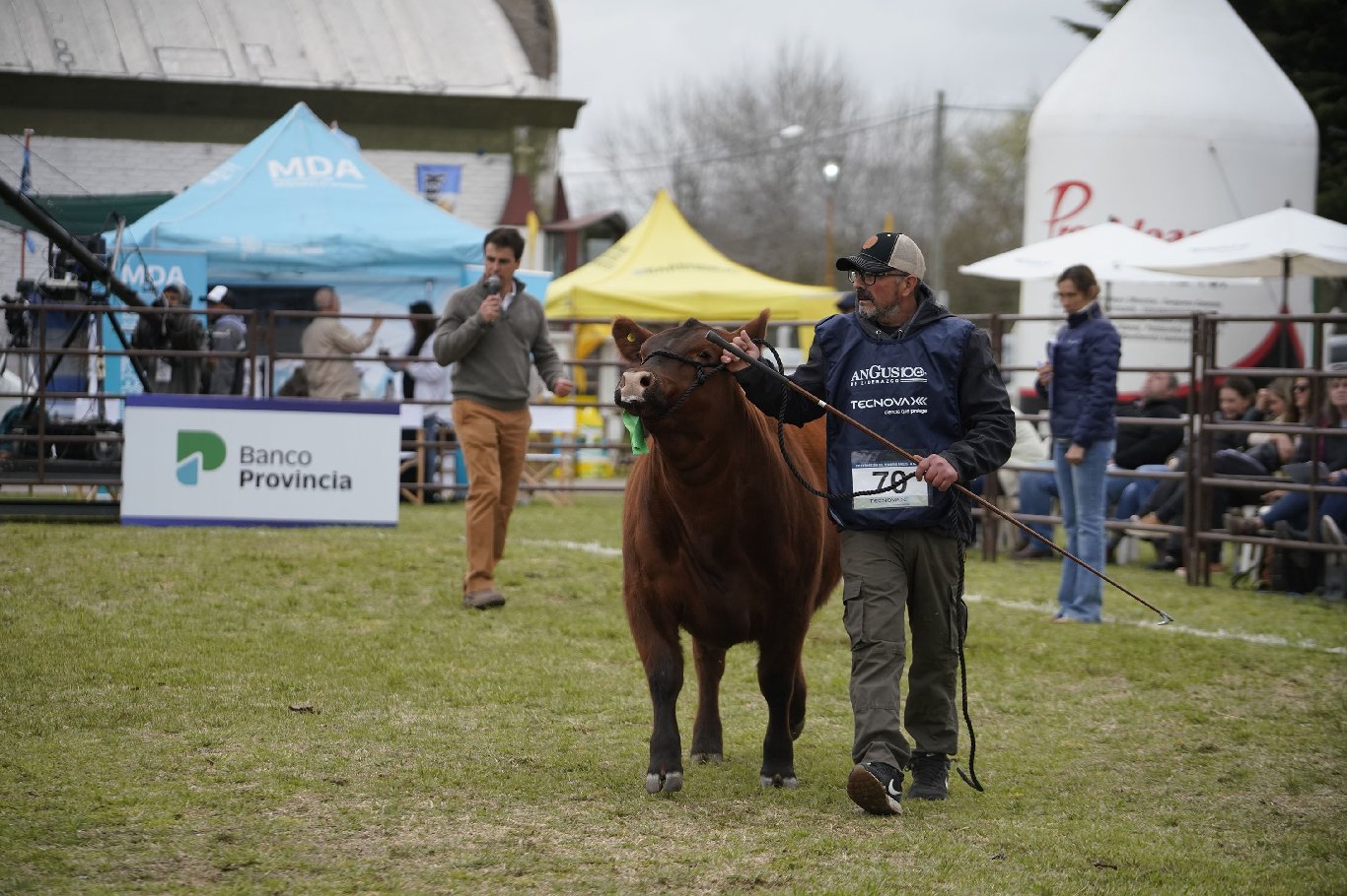 Banco Provincia llega a la Semana Angus de Primavera con financiamiento a tasa 0% en dólares