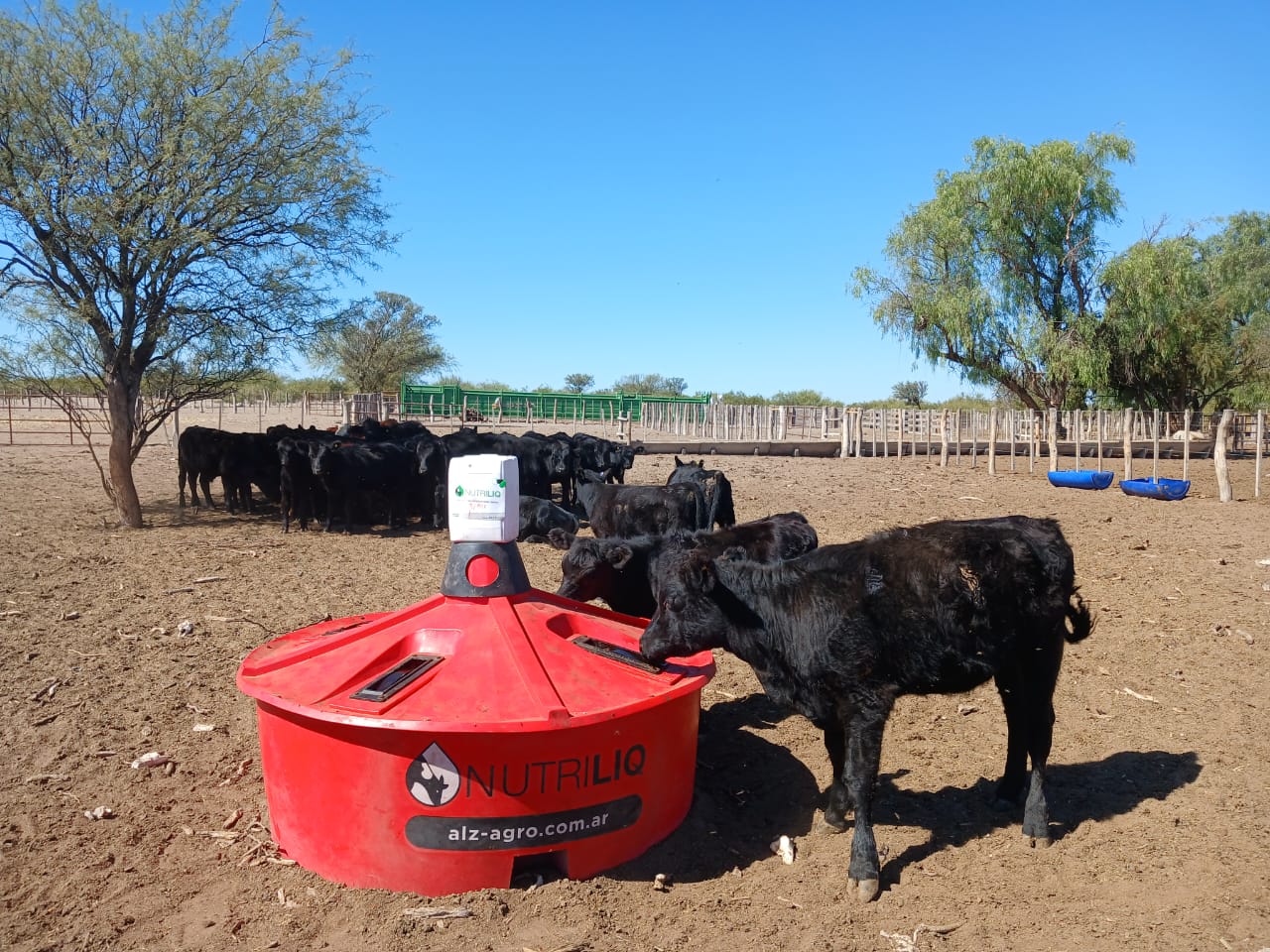 Tecnología innovadora en nutrición para el ganado y reconocimiento en Agricultura Sustentable