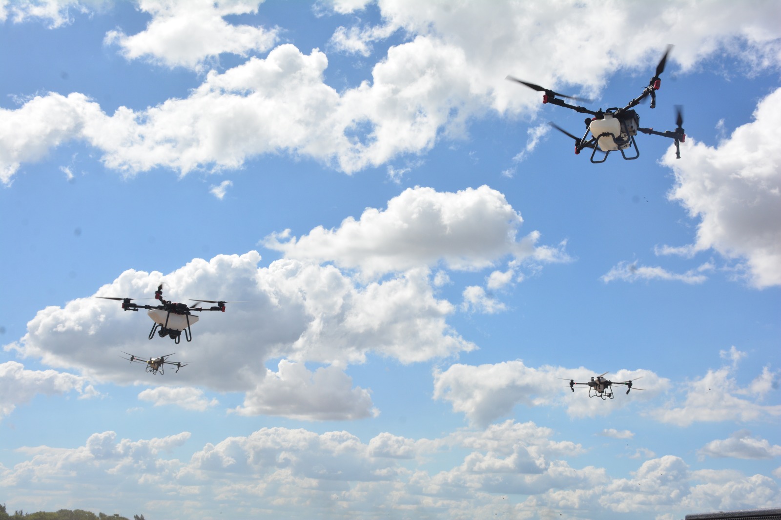 Cuáles son los tres hitos que transformaron la producción en Argentina